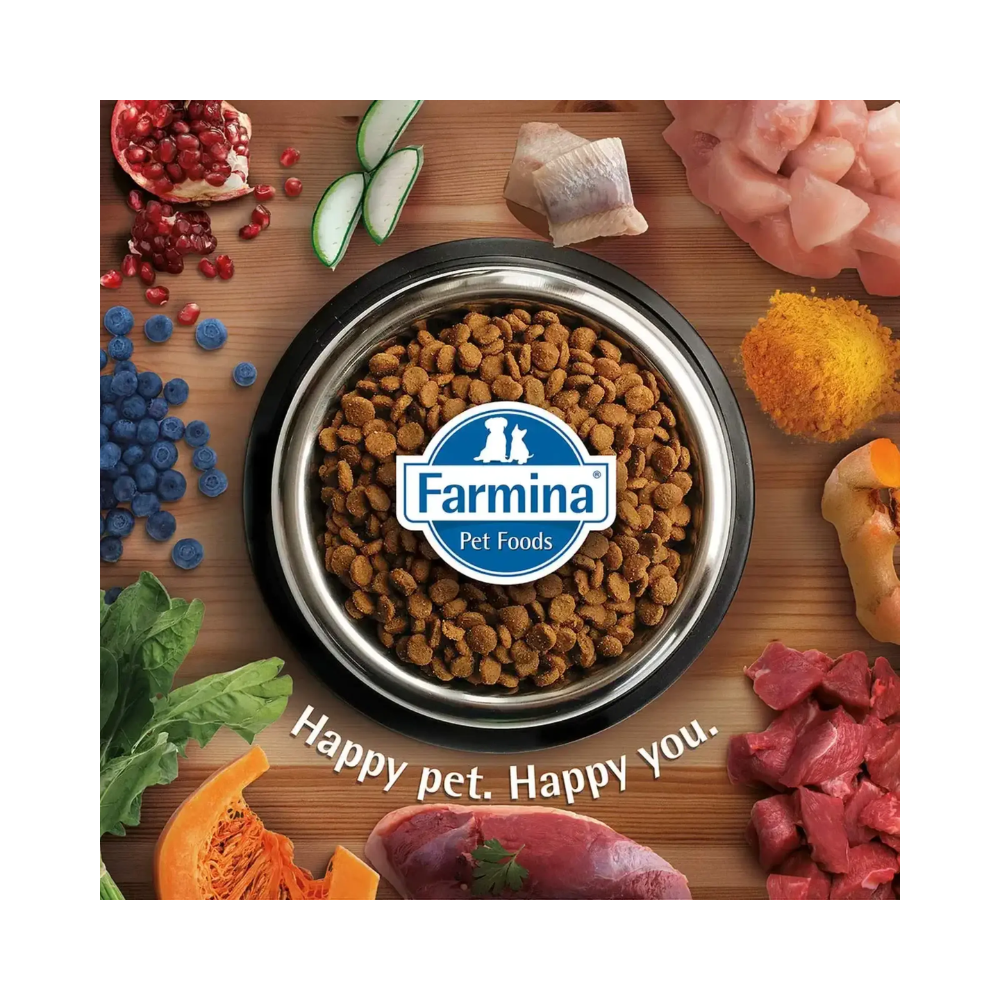 Farmina N&D Grain Free Chicken and Pomegranate Kitten Cat Food - Image 6