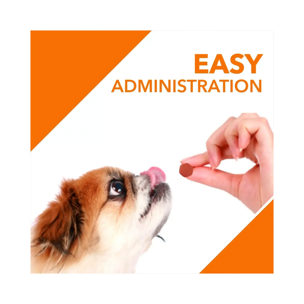 DROOLS Absolute Immunity Tablet - Image 4