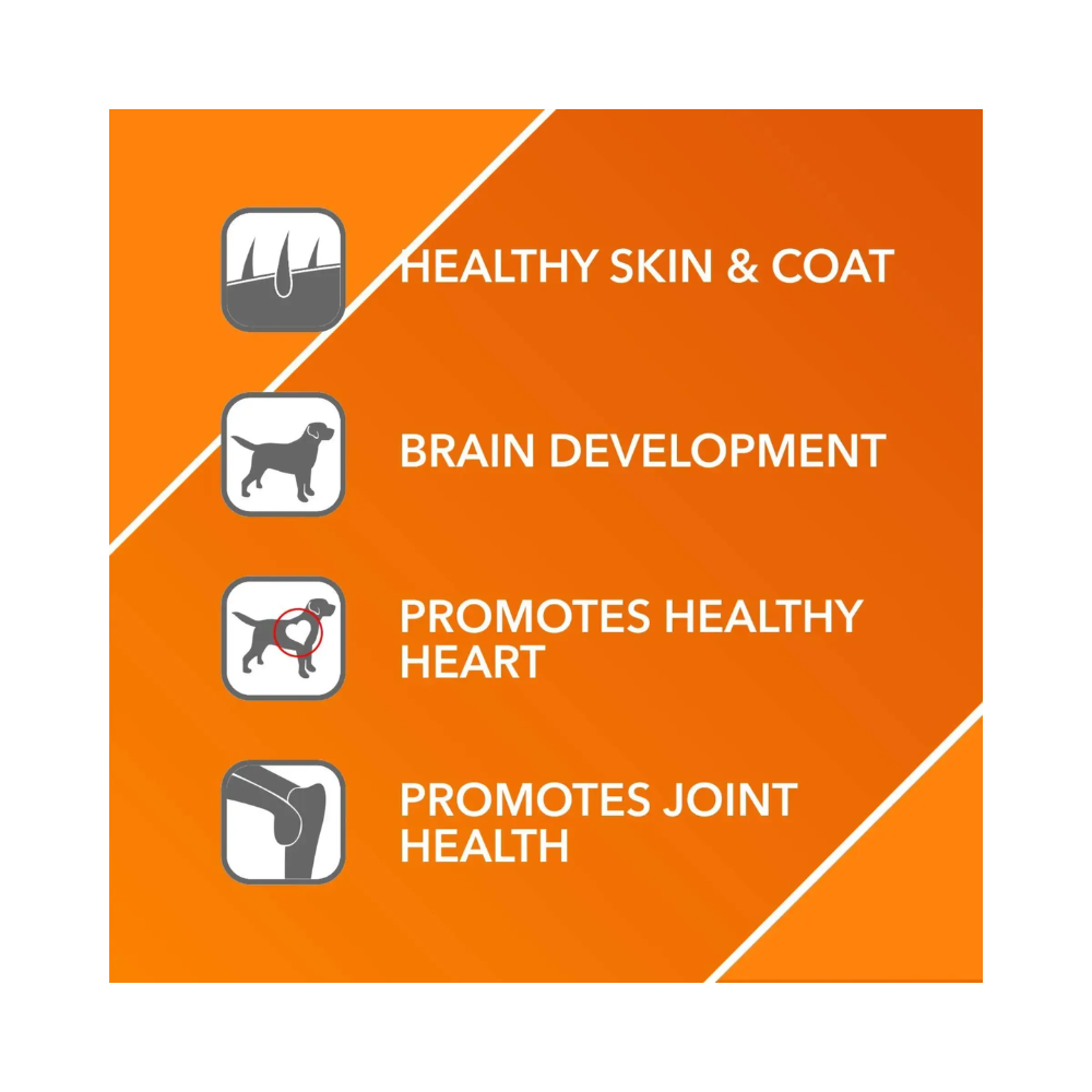 Drools Absolute Salmon Oil Syrup Dog Supplement - Image 3