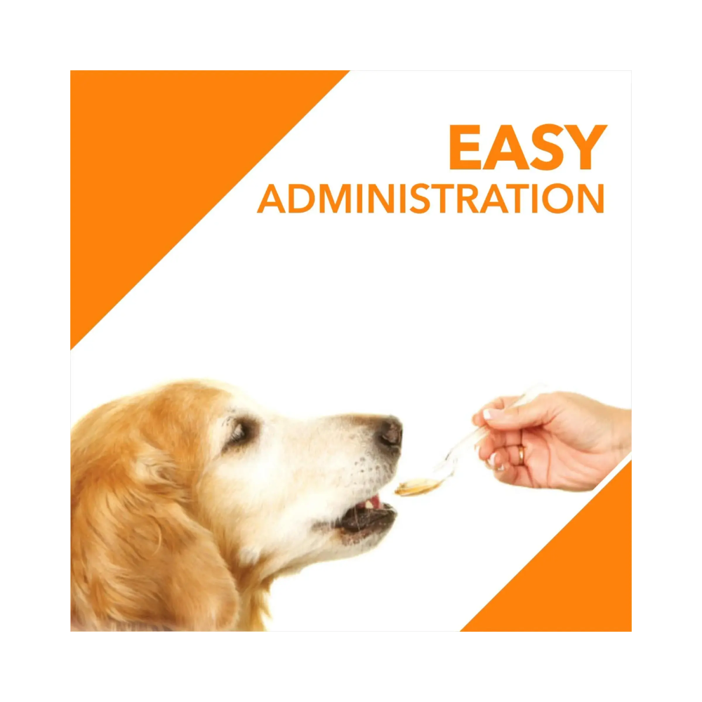 Drools Absolute Salmon Oil Syrup Dog Supplement - Image 4