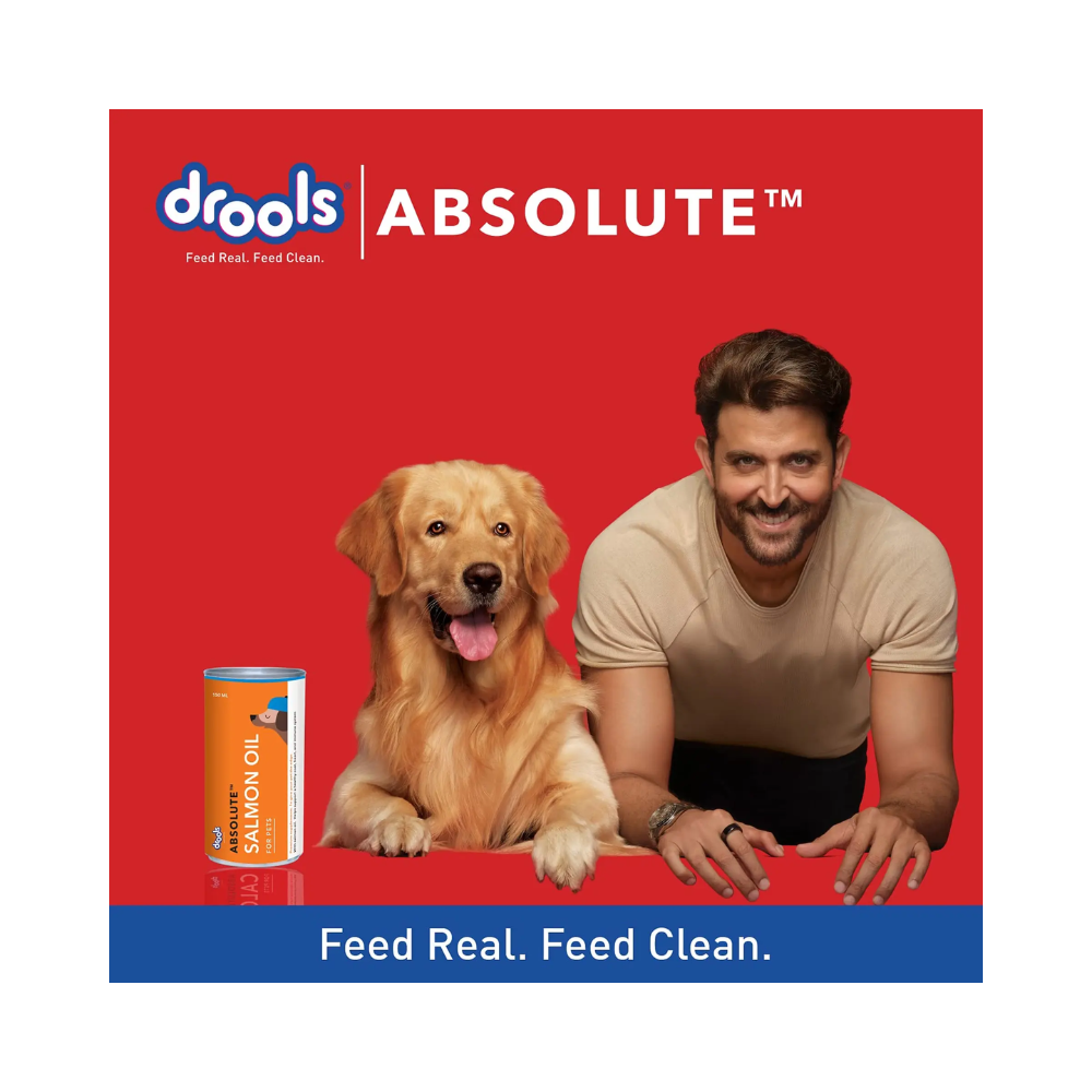 Drools Absolute Salmon Oil Syrup Dog Supplement - Image 6