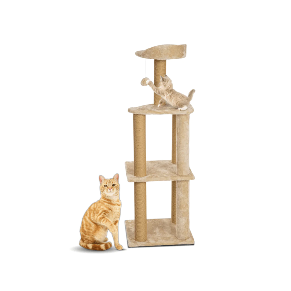 Callas Rio and Me Large Cat Condo with Sisal Scratching Posts for Cats