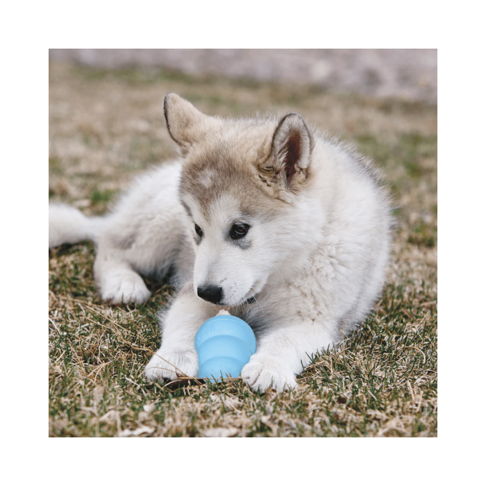 Kong Puppy Toy for Dogs (Blue) - Image 3