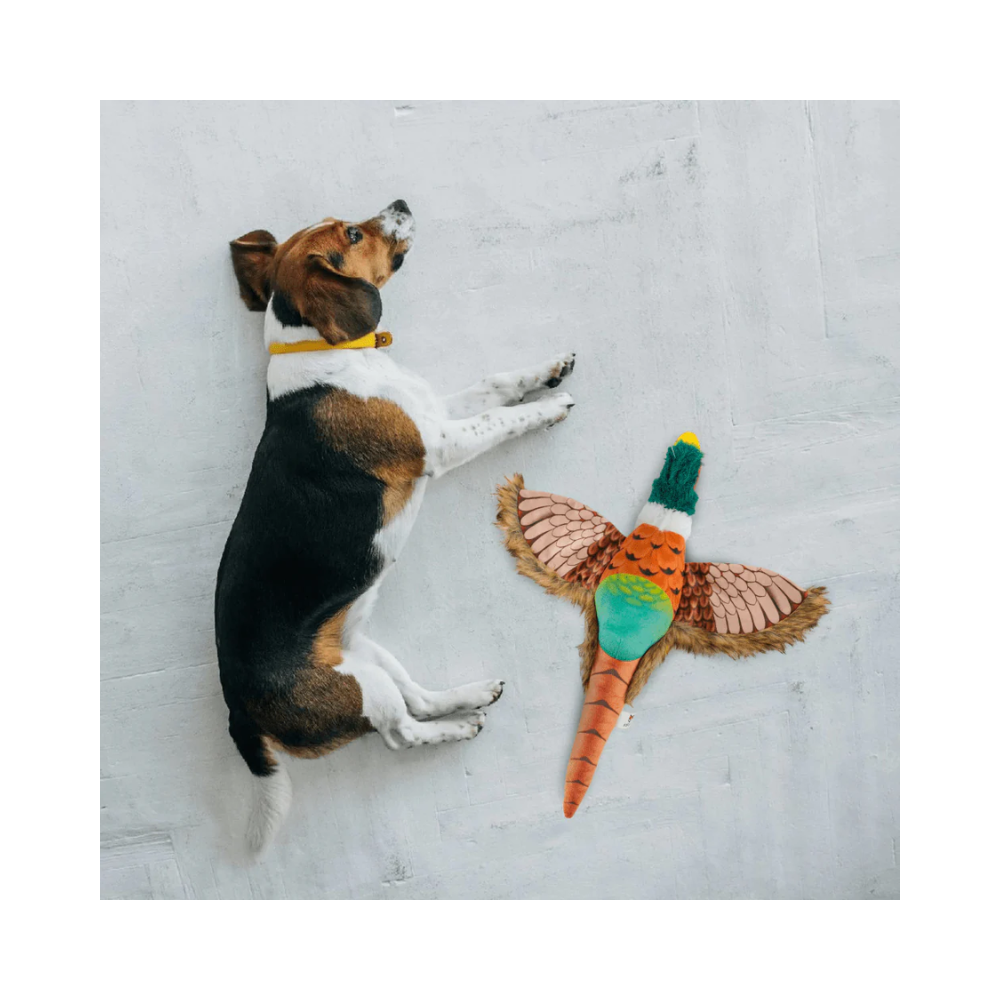 Fofos Plush Pheasant Toy for Dogs - Image 5