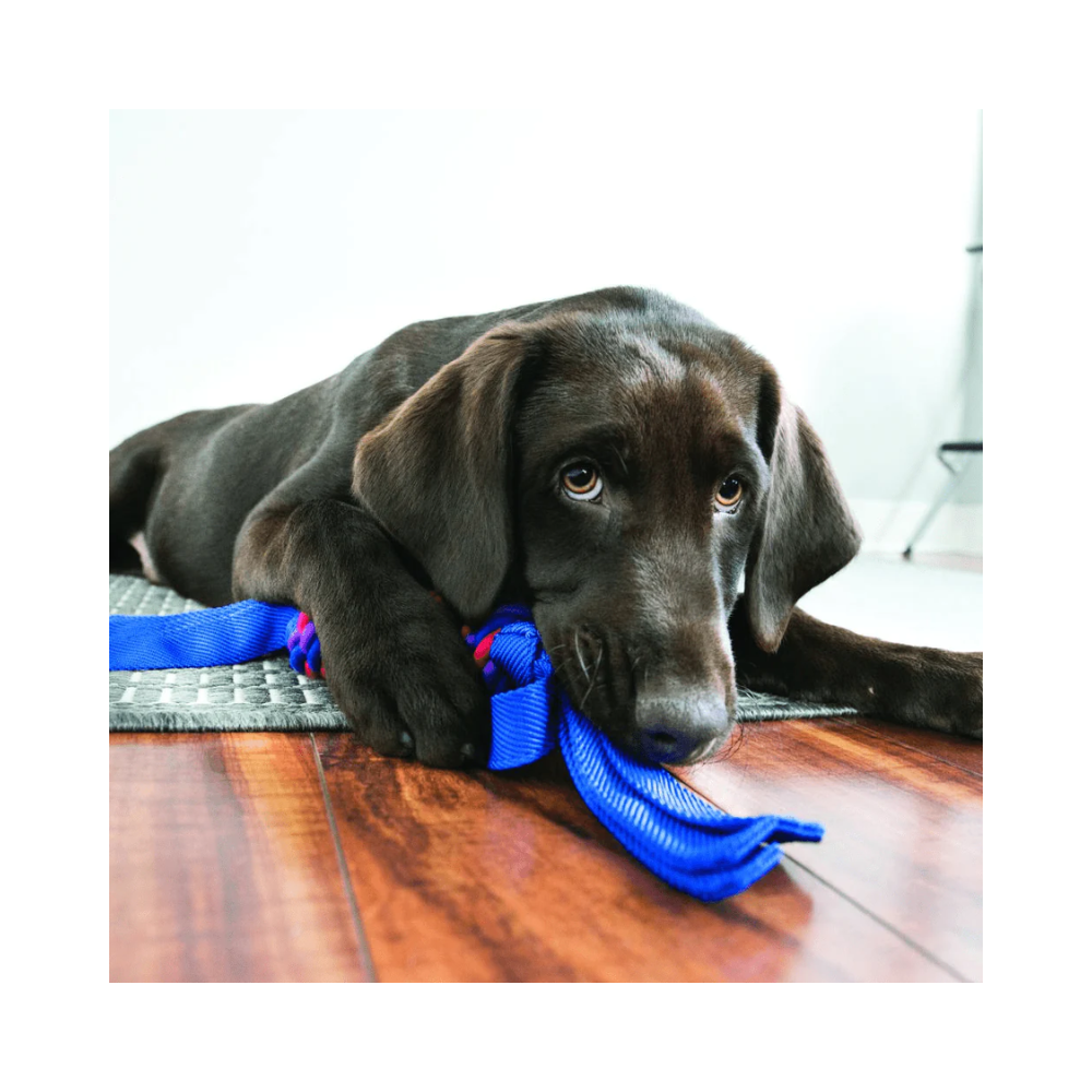 Kong Wubba Tugga Toy for Dogs Red - Image 2