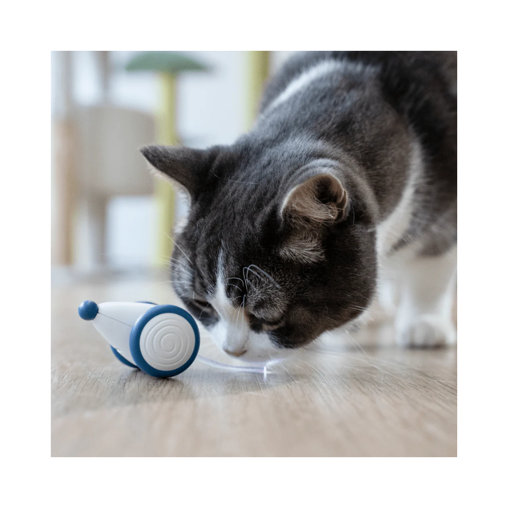 Cheerble Wicked Mouse Interactive Toy for Cats (Blue) - Image 3