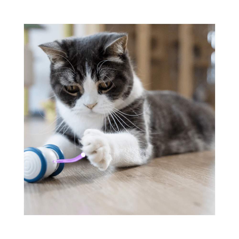 Cheerble Wicked Mouse Interactive Toy for Cats (Blue) - Image 2