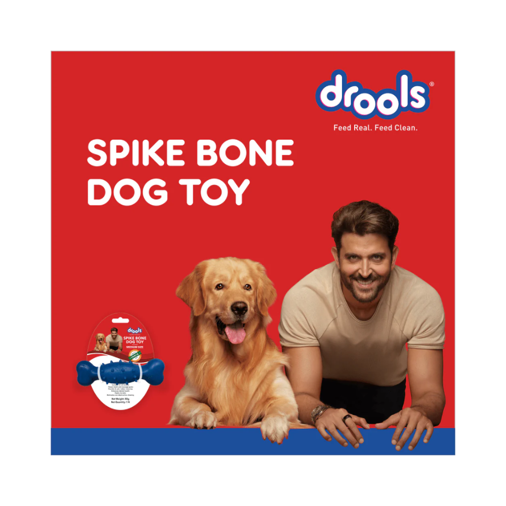 Drools Non Toxic Rubber Spike Bone Toy for Dogs - Image 2