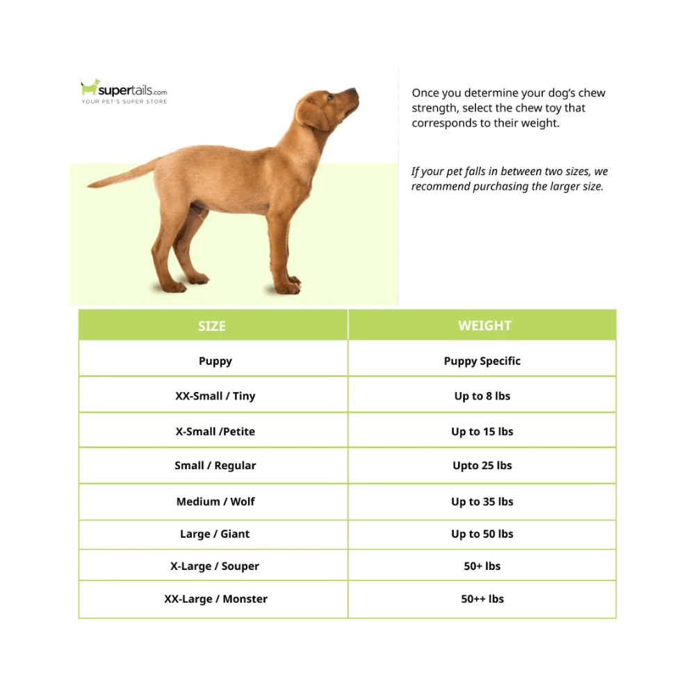 Nylabone Puppy Teething Peanut Butter and Bacon Flavoured Flexi Chew Bone Toy for Dogs (Orange/Blue) - Image 3