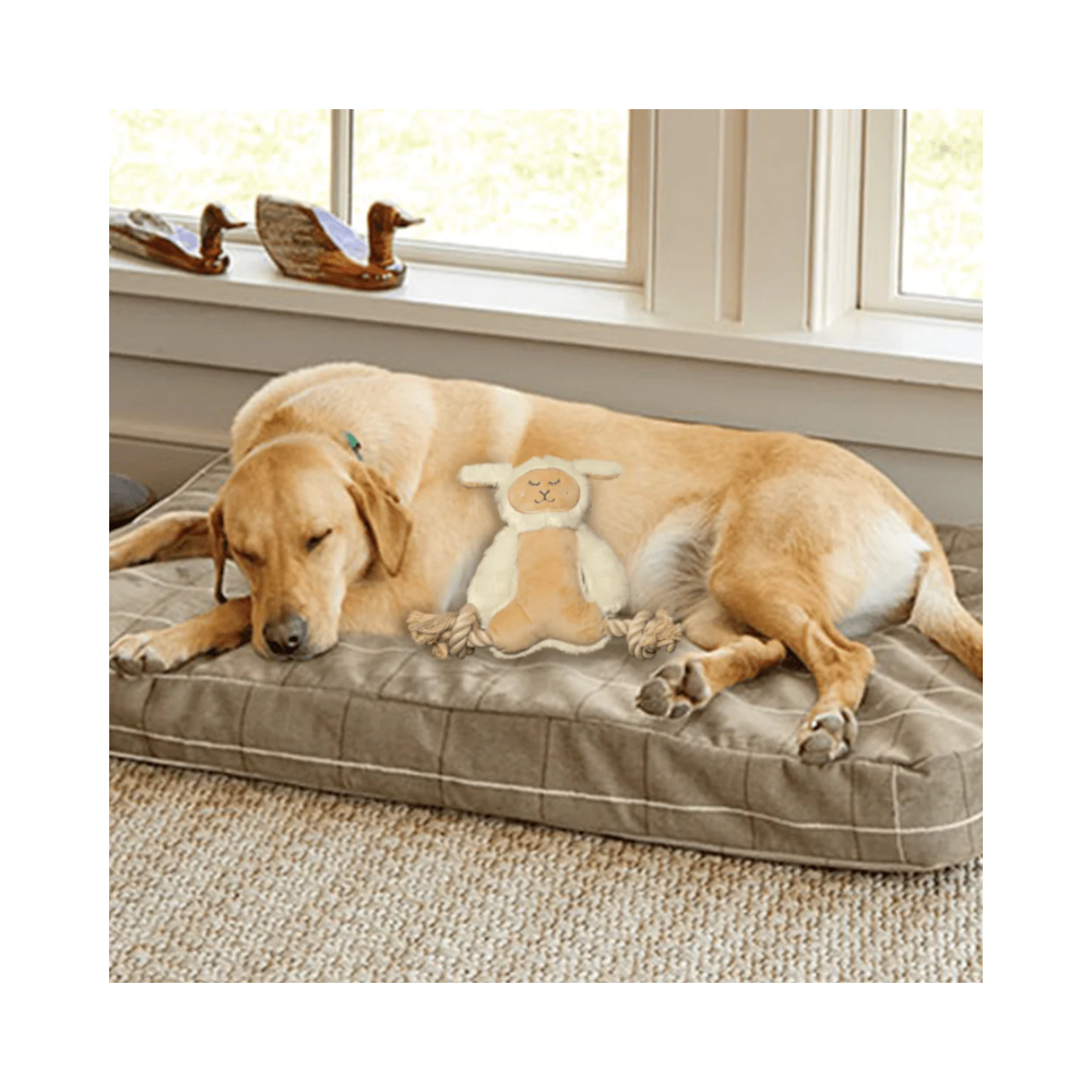 Fofos Ropeleg plush Sheep Toy for Dogs - Image 4
