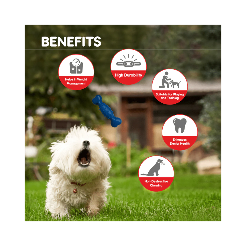 Drools Non Toxic Rubber Spike Bone Toy for Dogs - Image 4