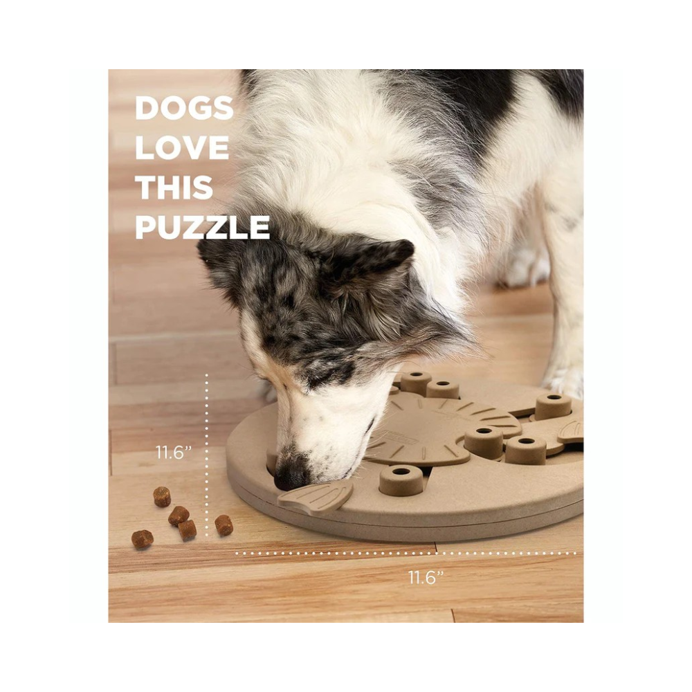 Outward Hound (Nina Ottosson) Dog Worker Composite - Spin, Scoot & Treat - Interactive Dog Toy - Image 4