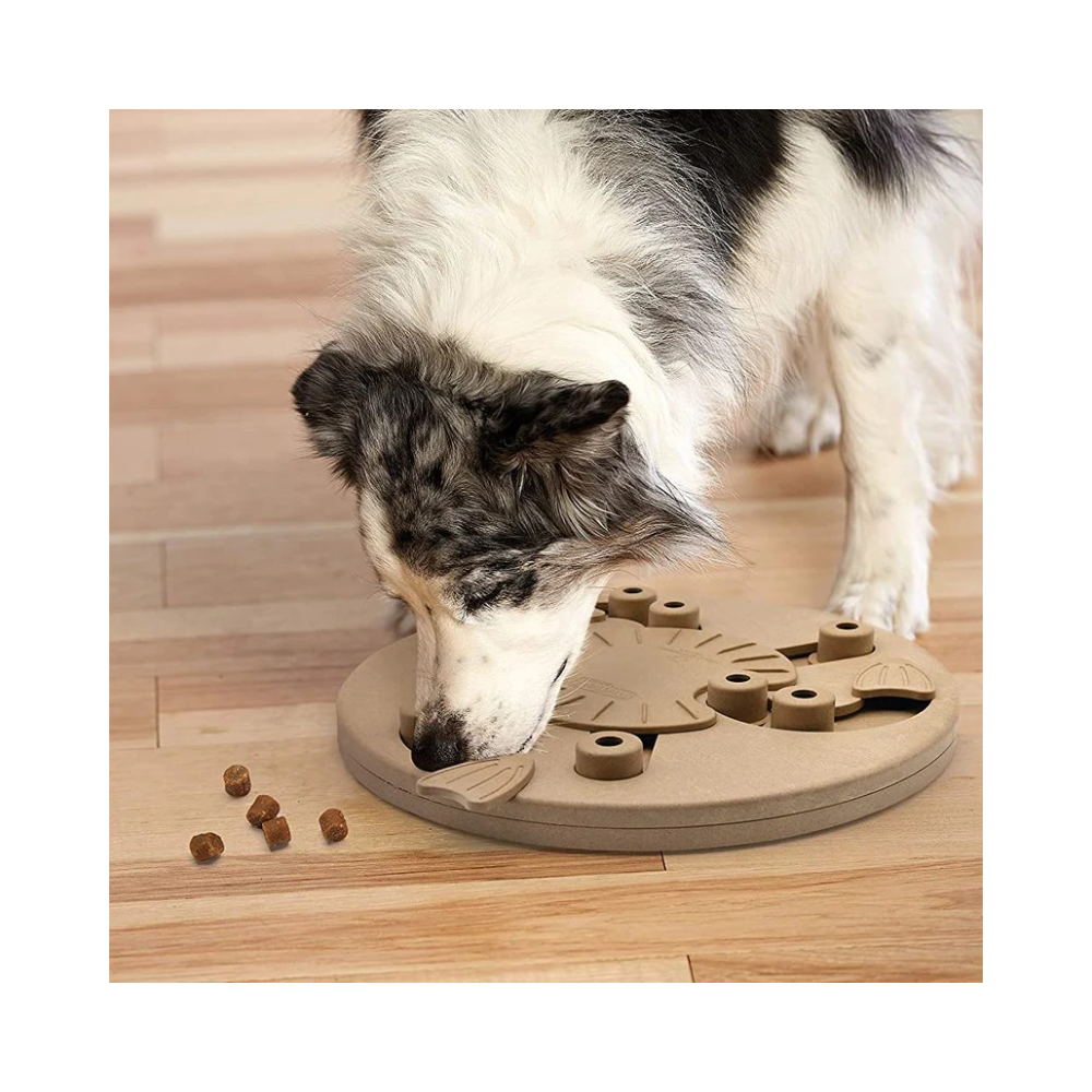 Outward Hound (Nina Ottosson) Dog Worker Composite - Spin, Scoot & Treat - Interactive Dog Toy - Image 5