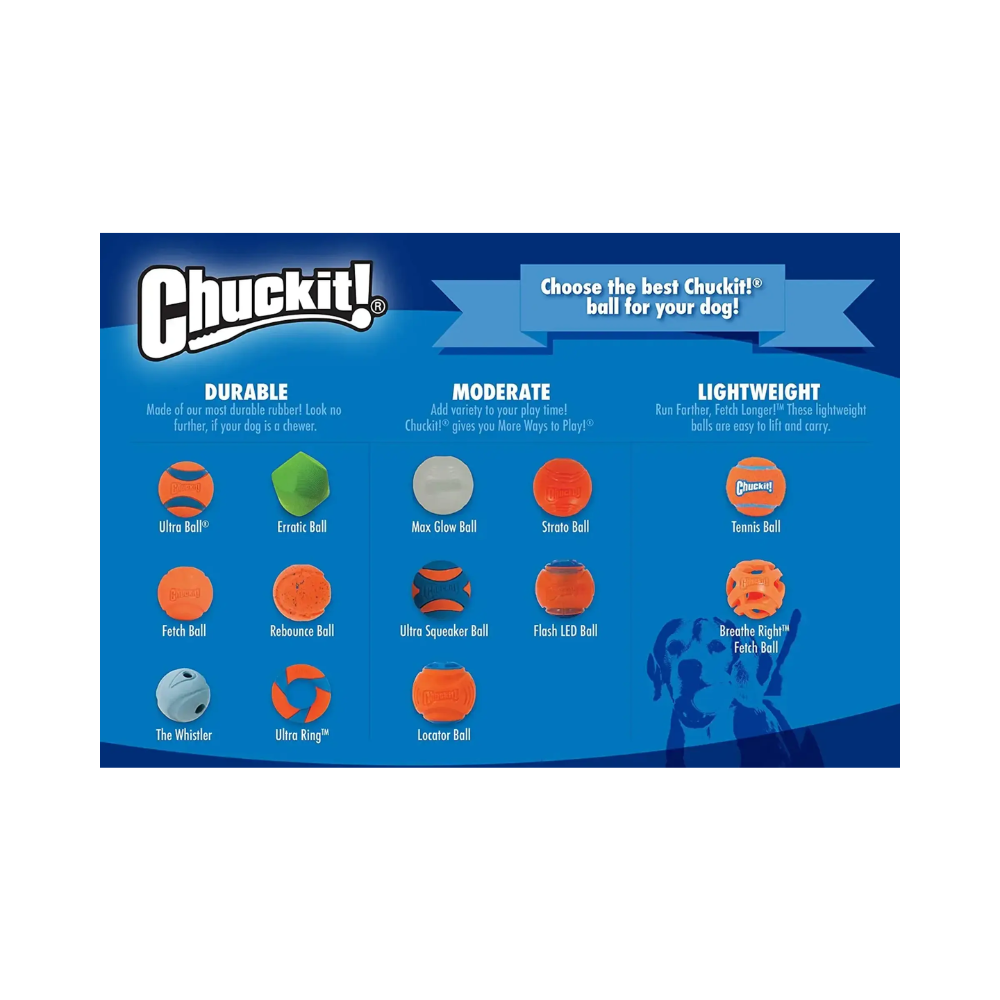 Petmate Chuckit Strato Medium Ball (2 Pack) For Dogs - Image 5