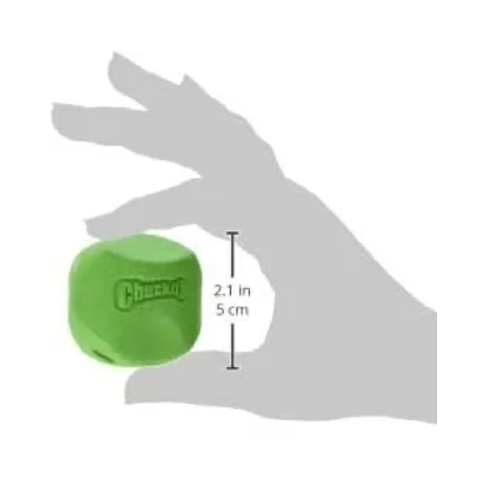 Petmate Chuckit Erratic Ball 2 Pack Small Dog Toy - Image 5