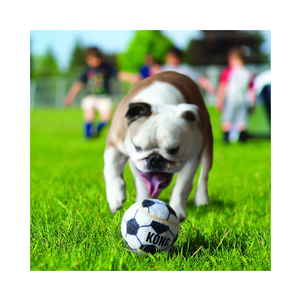 Kong Sport Balls Dog Toy - Extra Small (Pack of 3 ) - Image 5