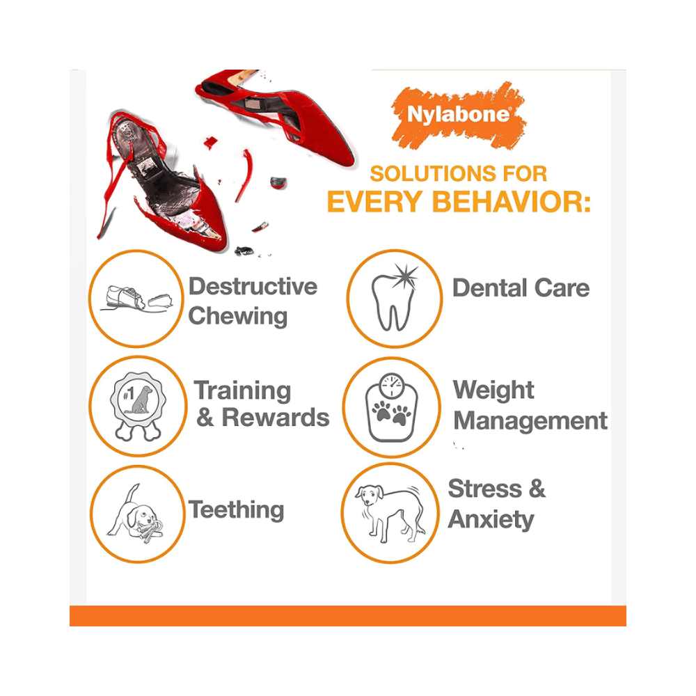 Nylabone Puppy Teething Peanut Butter and Bacon Flavoured Flexi Chew Bone Toy for Dogs (Orange/Blue) - Image 5