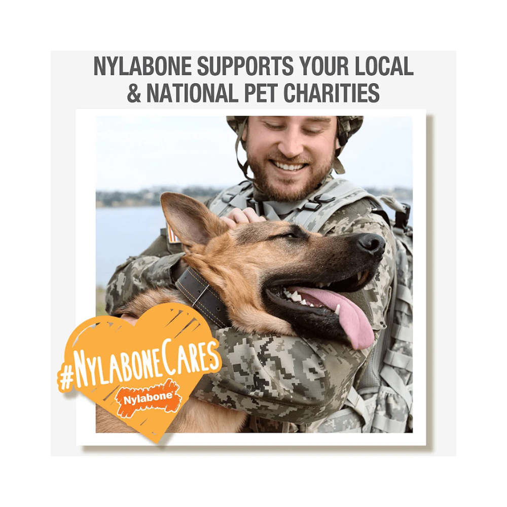 Nylabone Puppy Teething Peanut Butter and Bacon Flavoured Flexi Chew Bone Toy for Dogs (Orange/Blue) - Image 7