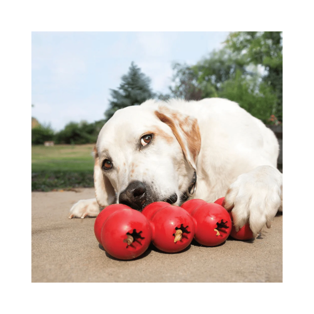 Kong Goodie Ribbon Toy for Dogs - Image 2