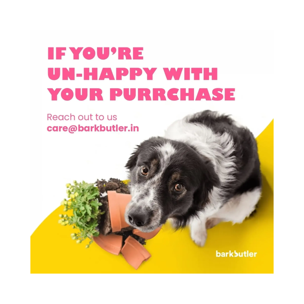 Barkbutler Just a Fooball Chew Dog Toy (S-M) - Image 7