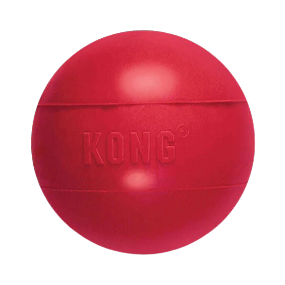 KONG Ball Dog Chew Toy