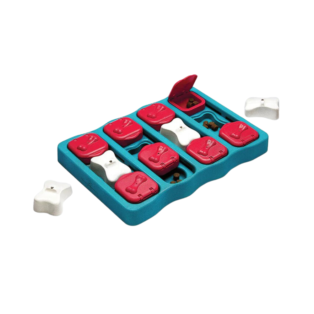 Outward Hound (Nina Ottosson) Dog Brick – Interactive Dog Toy