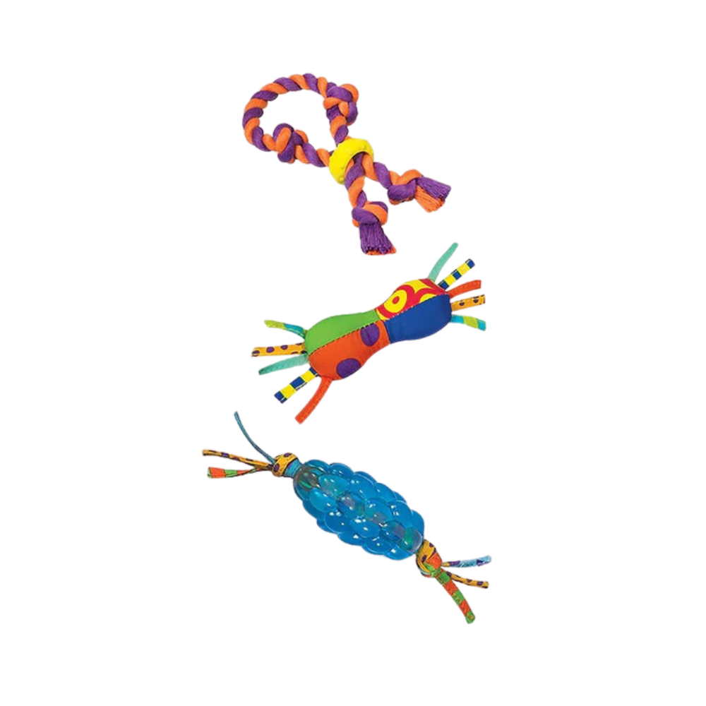 Petstages Chew Starter Dental Dog Toys