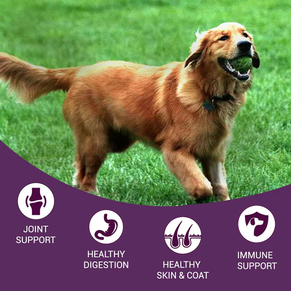 Bowlers Nutrimax Chicken and Vegetables Adult Dog Dry Food - Image 3