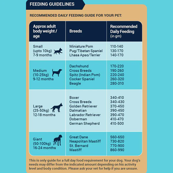 Bowlers Nutrimax Chicken and Vegetables Adult Dog Dry Food - Image 5